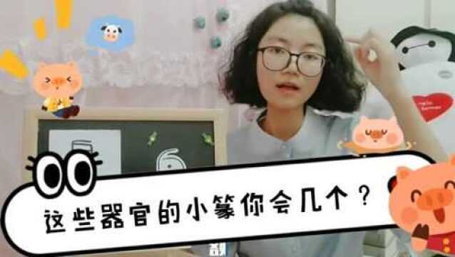 汉字故事:耳字,和现代字形最接近的小篆,大大的耳廓能纳声