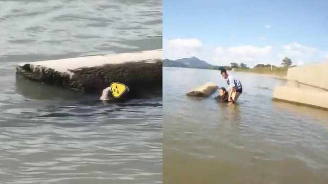 浙江桐庐河心现“浮尸”,岸边有酒瓶遗书,民警拍照人头在动