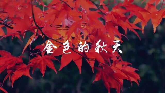 小提琴协奏曲《金色的秋天》