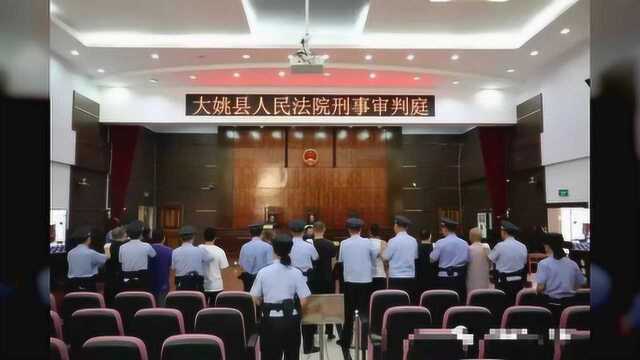 放高利贷、私刻派出所专用章……云南这个恶势力团伙8人被判刑