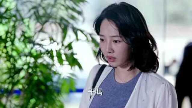 南方有乔木:杜卫国看见白百何就特生气,他是真的讨厌白百何吗