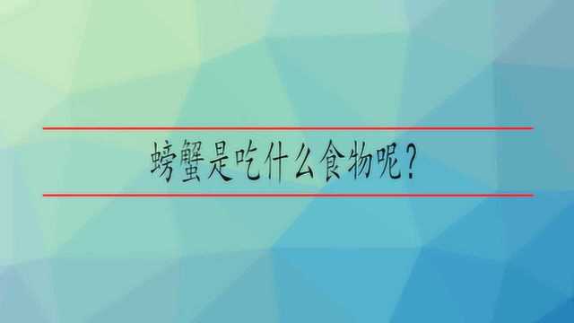 螃蟹是吃什么食物呢?