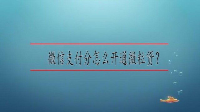 微信支付分怎么开通微粒贷?