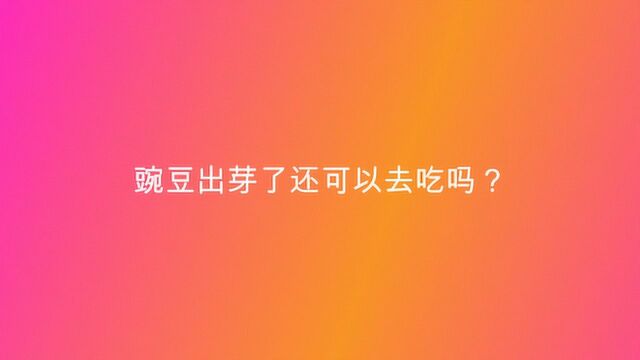 豌豆出芽了还可以去吃吗?