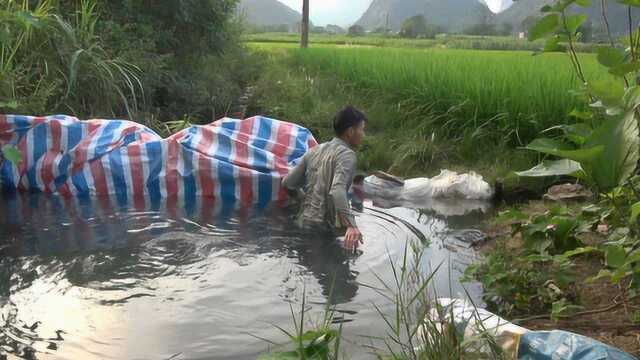 小莫用截流方法灌溉农田,下游水干后水沟里有大鱼出现,太意外了