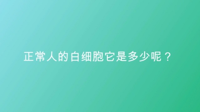 正常人的白细胞它是多少呢?