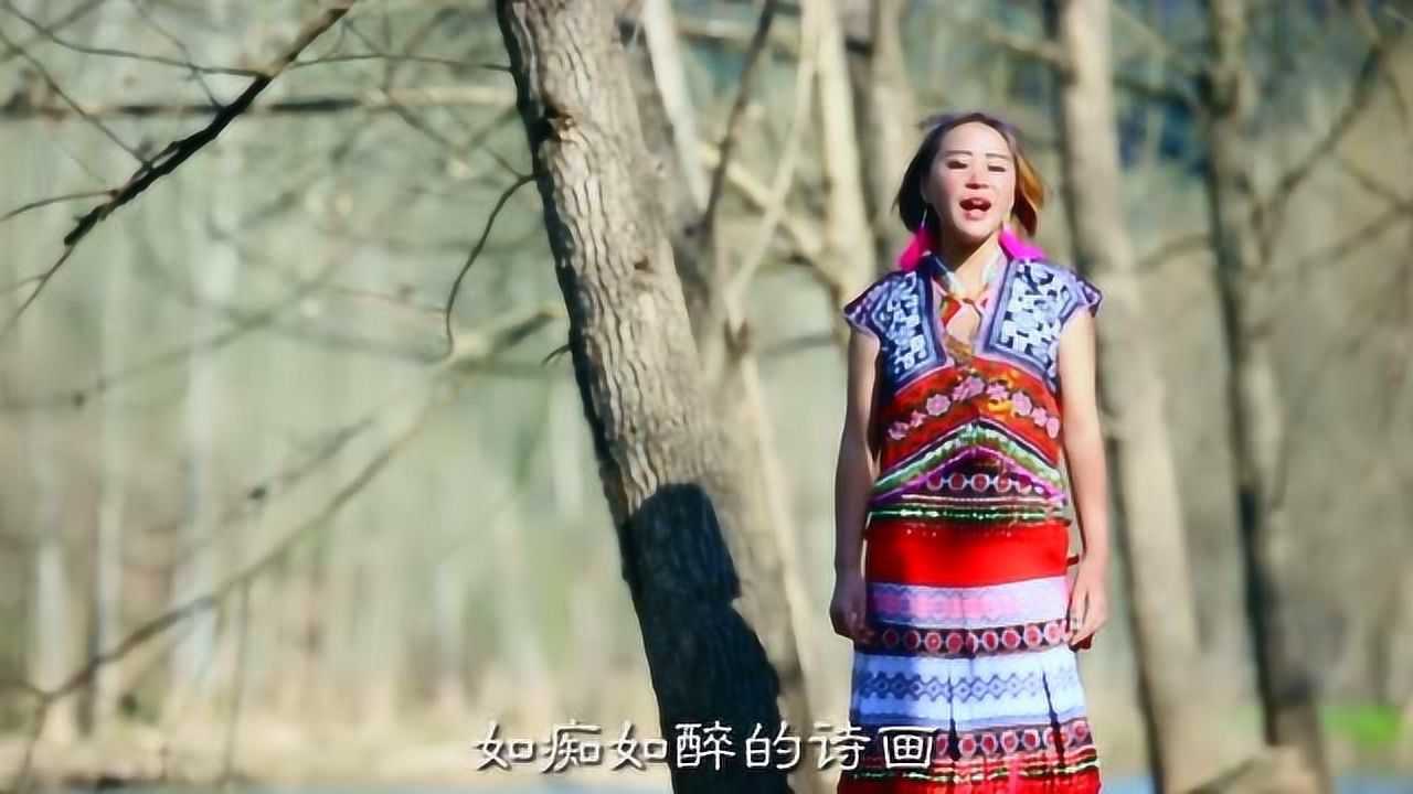 苗族歌曲阿卯歌曲《梦中的雪莲花》