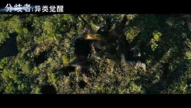 分歧者:异类觉醒 电视版4 (中文字幕)