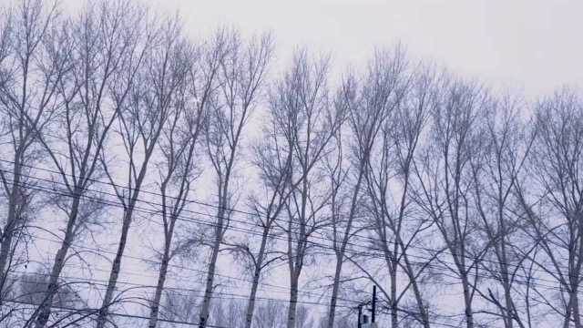 雪花飘飘北风萧萧,天地一天苍茫,北国的风光.