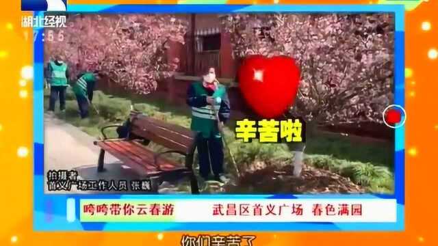 咵咵带你云春游之首义广场,春色满园