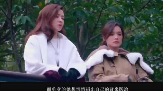 舒淇、彭于晏完美再现:演绎姐弟虐恋,最后看哭了