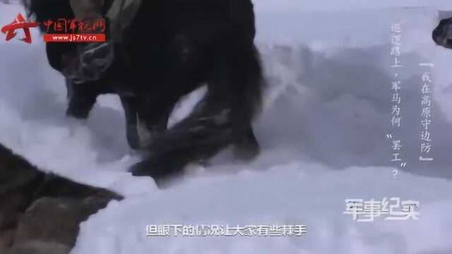 大雪封山路难走 “无言战友”助力官兵高原巡逻