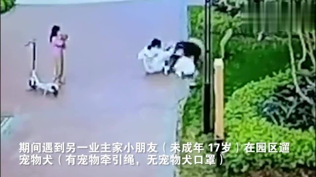 东莞一小女孩在小区逗狗 被阿拉斯加犬扑倒咬伤 主人拉都拉不住