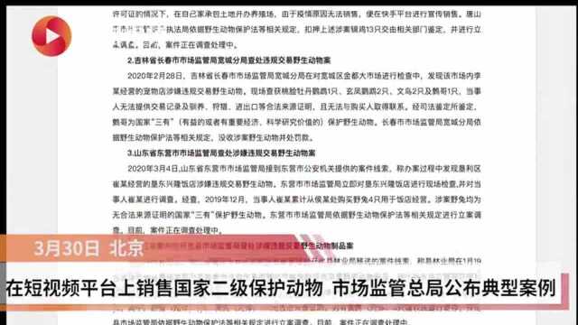 在短视频平台销售国家二级保护动物 市场监管总局公布典型案例