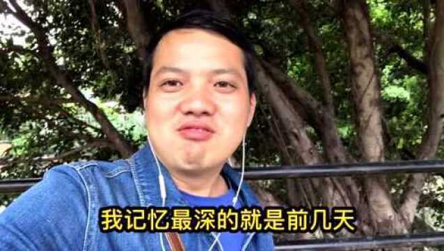 【西瓜vlog火箭班】培训后觉得做自媒体最重要是持续输出优质内容