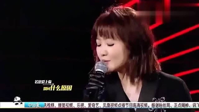 歌曲《我要找到你》问世间什么最美丽,爱情绝对是个奇迹