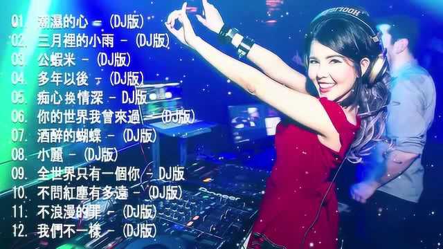 最劲爆的DJ歌曲20首精选歌曲 超好听 中文DJ舞曲串烧 夜店混音