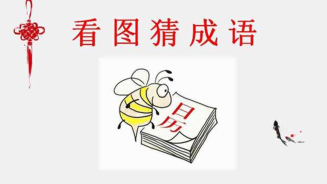 看图猜成语:1只蜜蜂和1本日历,这个成语很简单,一猜就中