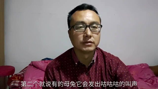 母兔发情时的表现和母兔产仔后发情的几个时间段