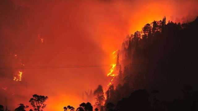 四川凉山州突发森林大火!火势凶猛蔓延,浓烟飘进城区