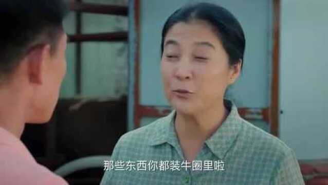 乡亲乡爱:长海给高端牛按摩,牛受刺激?