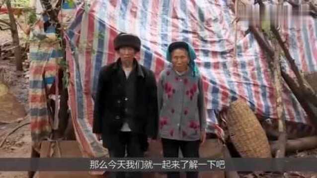 农民有福了!申请危房改造的老农,每户能获得3万元补贴!