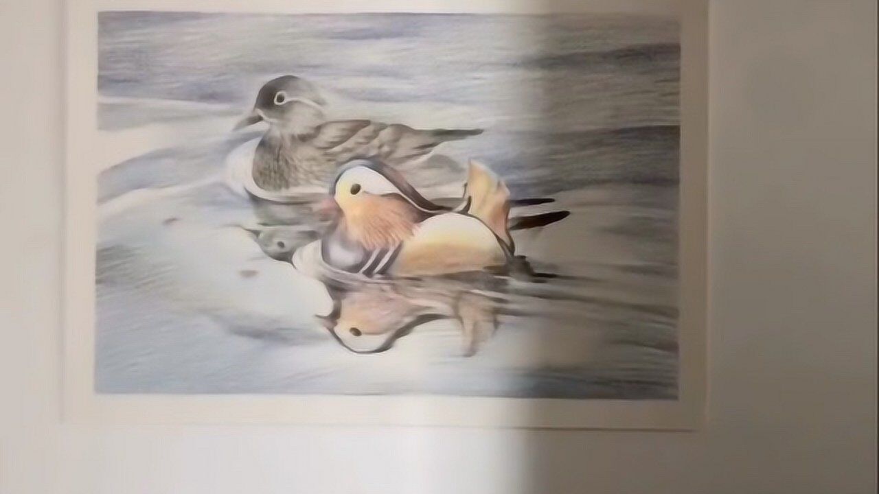彩铅鸳鸯