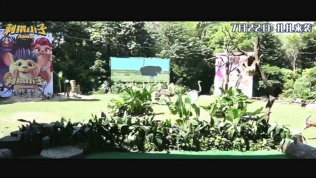 刺猬小子之天生我刺 其它花絮:首映特辑 (中文字幕)