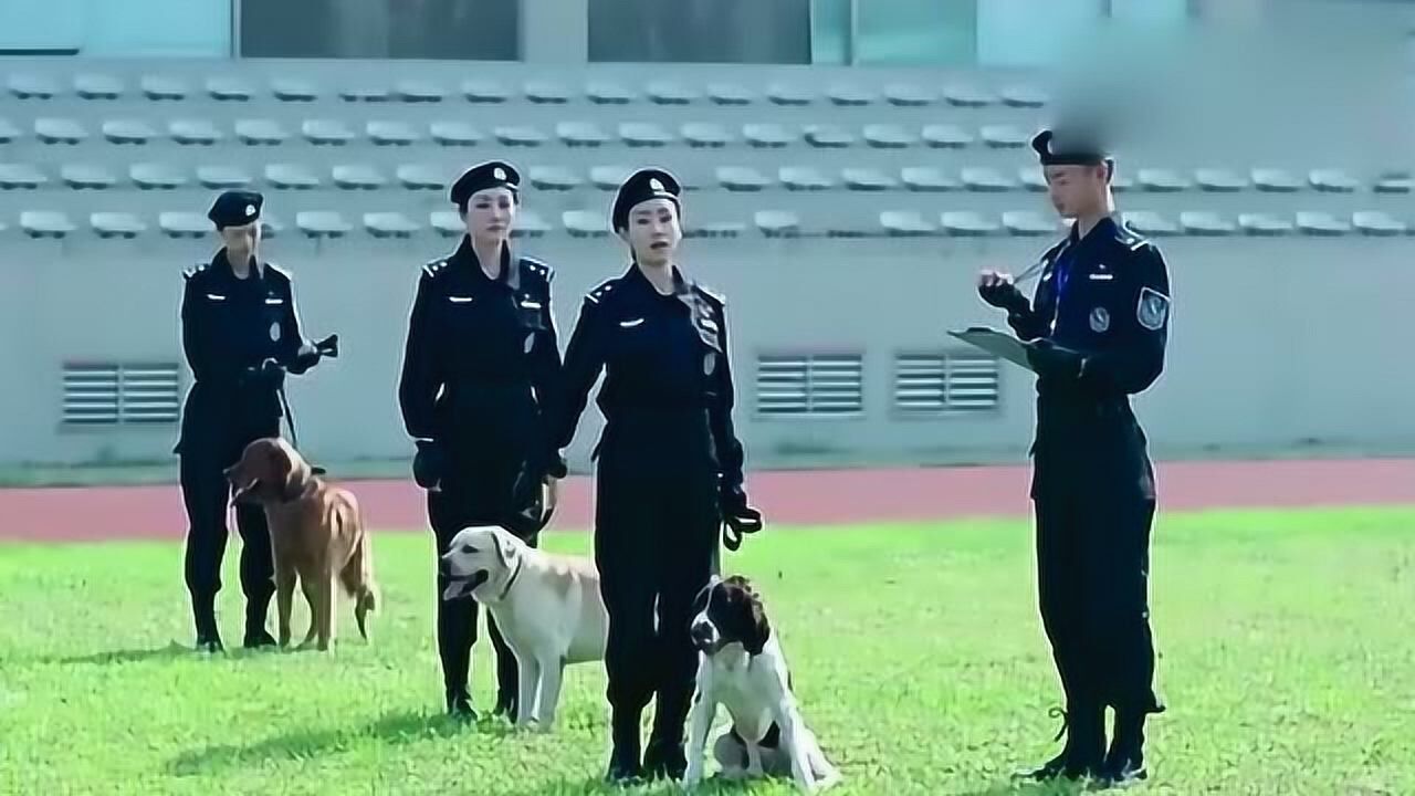 警花与警犬大饼遭众人嫌弃却不料连它也嫌弃大饼