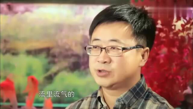 父亲想让杨馥宇变乖乖女,愿意败光家产拯救她