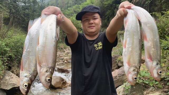 深山里,小伙搞来4条翘嘴鱼,头一次见这吃法,4条不够吃,带劲