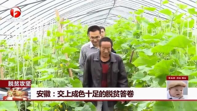 科技助力农业 精准扶贫 安徽:交上成色十足的脱贫答卷