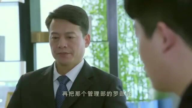 婚姻历险记:邱母召开董事会,要罢免邱冬阳的董事职务