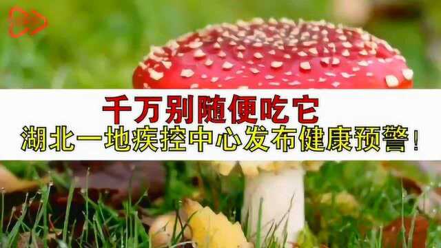 千万别随便吃它!湖北一地疾控中心发布健康预警!