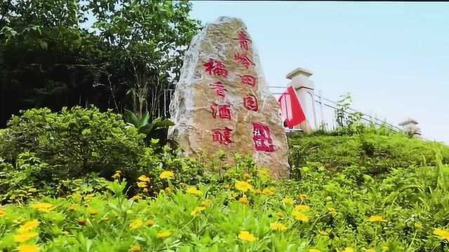 重庆市忠县乌杨镇青岭社区