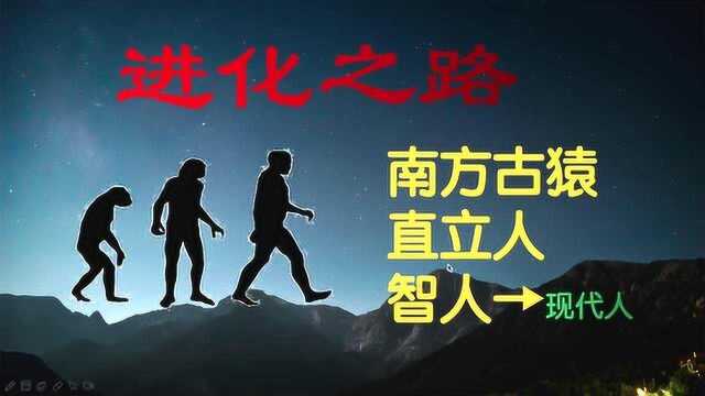 新全球史(1)智人的进化