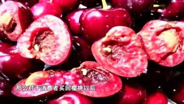 果蝇危害防不住?一招帮您全解决!