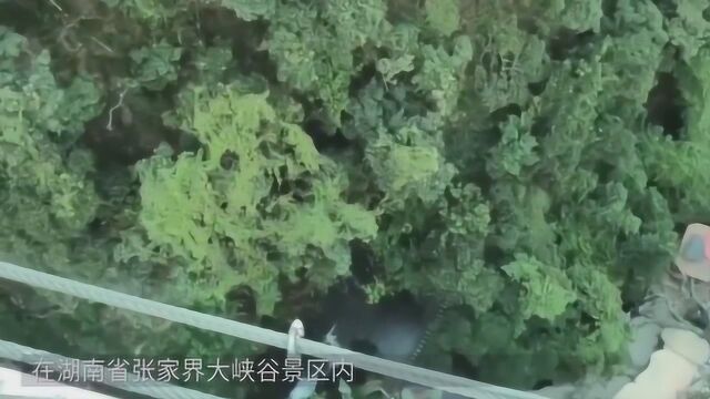 用玻璃制造的大桥真的安全吗?记者用大锤测试,不愧中国制造!