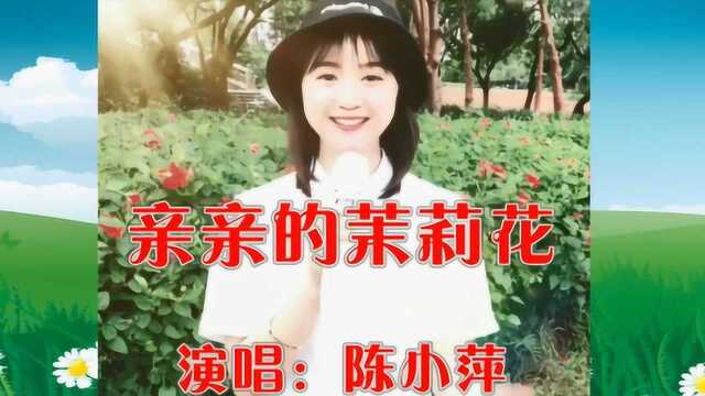 美女陈晓萍一首《亲亲茉莉花》歌声温婉动人,甜美动听!