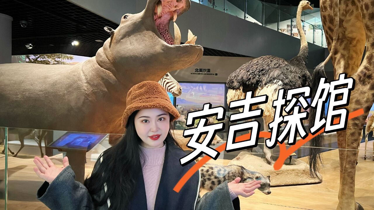 浙江也能看动物大迁徙?浙江自然博物院安吉分馆探馆vlog