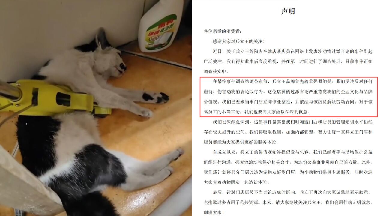 流浪猫从天花板掉落被店员弄死?兵立王奶茶致歉:停业整改、开除