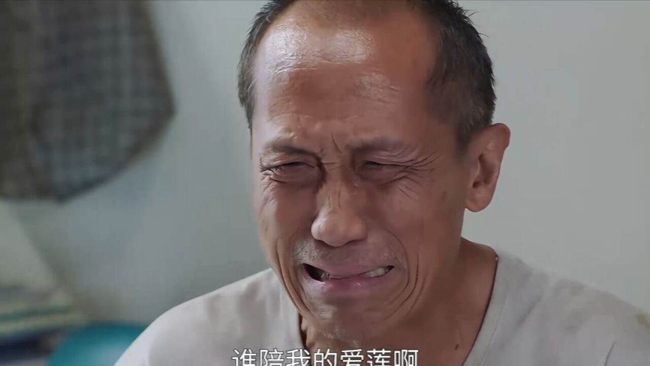 妻子被丈夫冻在冰柜两个月,罗法官一眼就看出大问题成功破案