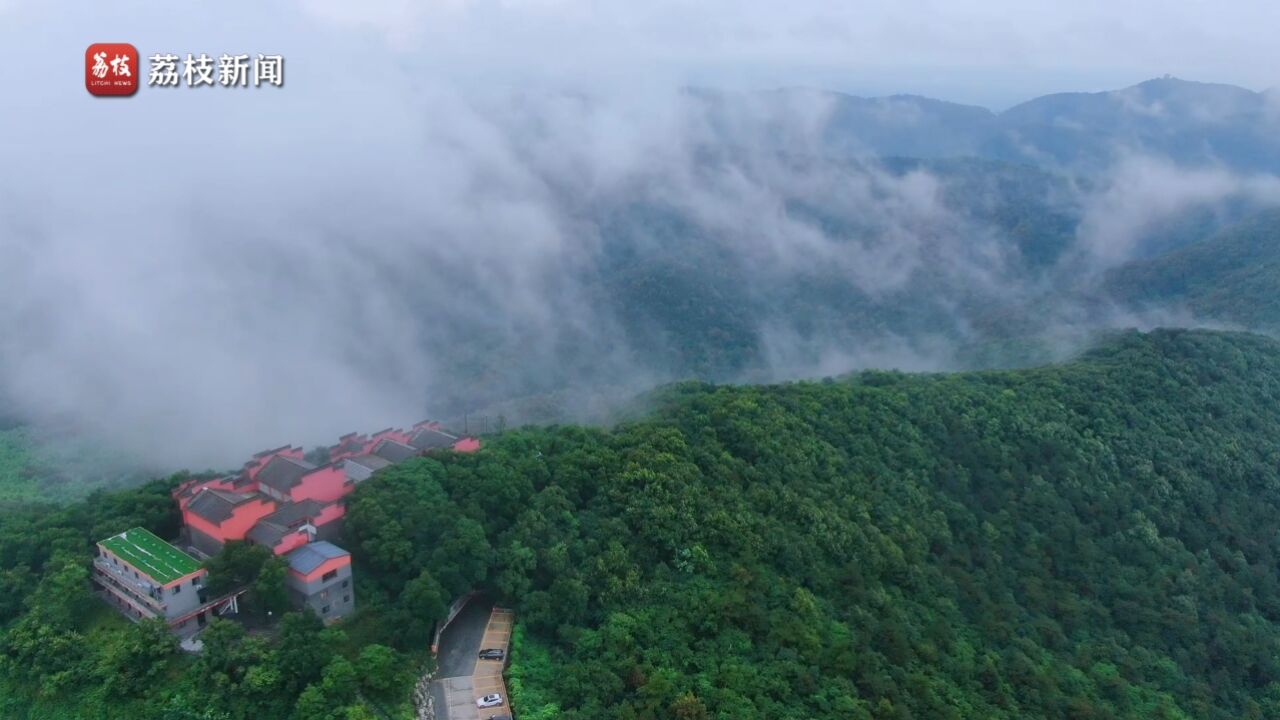 翠色欲流!雨后茅山云雾缥缈似仙境