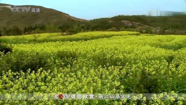 CCTV高清浙江仙居风光