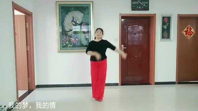 40+吴美华+炫舞京晨舞蹈队+《我的梦我的情》