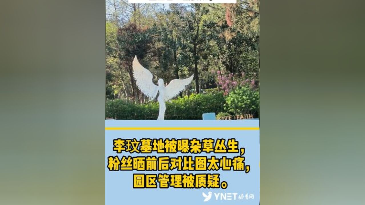 李玟墓地被曝杂草丛生,粉丝晒前后对比图太心痛,园区管理被质疑.