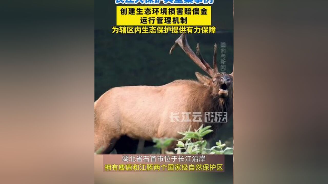 湖北省石首市人民法院:创建生态环境损害赔偿金运行管理机制,为辖区内生态保护提供有为保障!