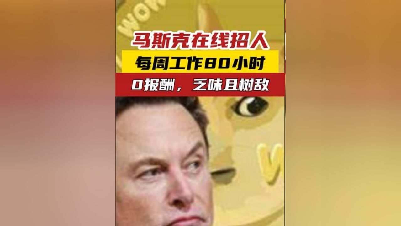 马斯克在线招人 每周工作80小时 0报酬,乏味且树敌