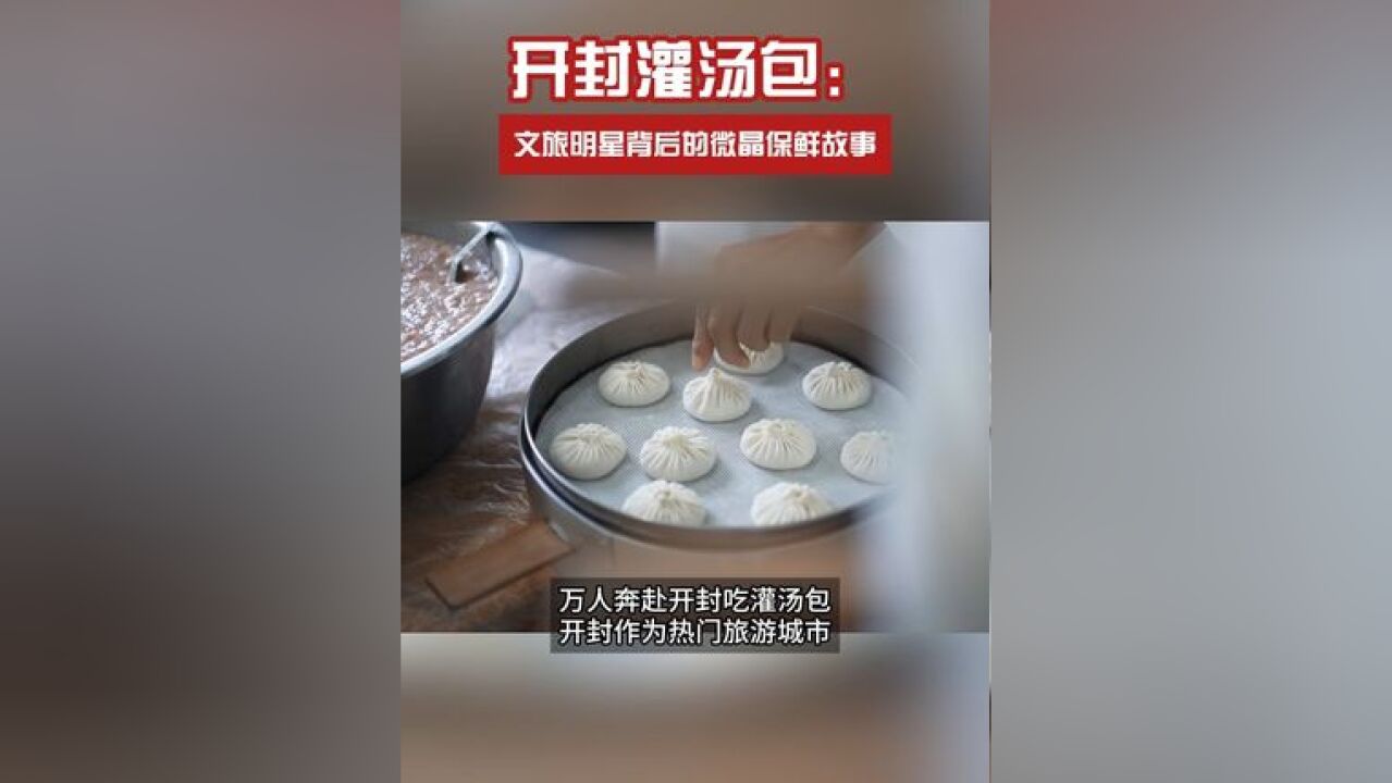 美的微晶冰箱 为开封灌汤包保鲜护航,确保每一口都是原鲜的美味!