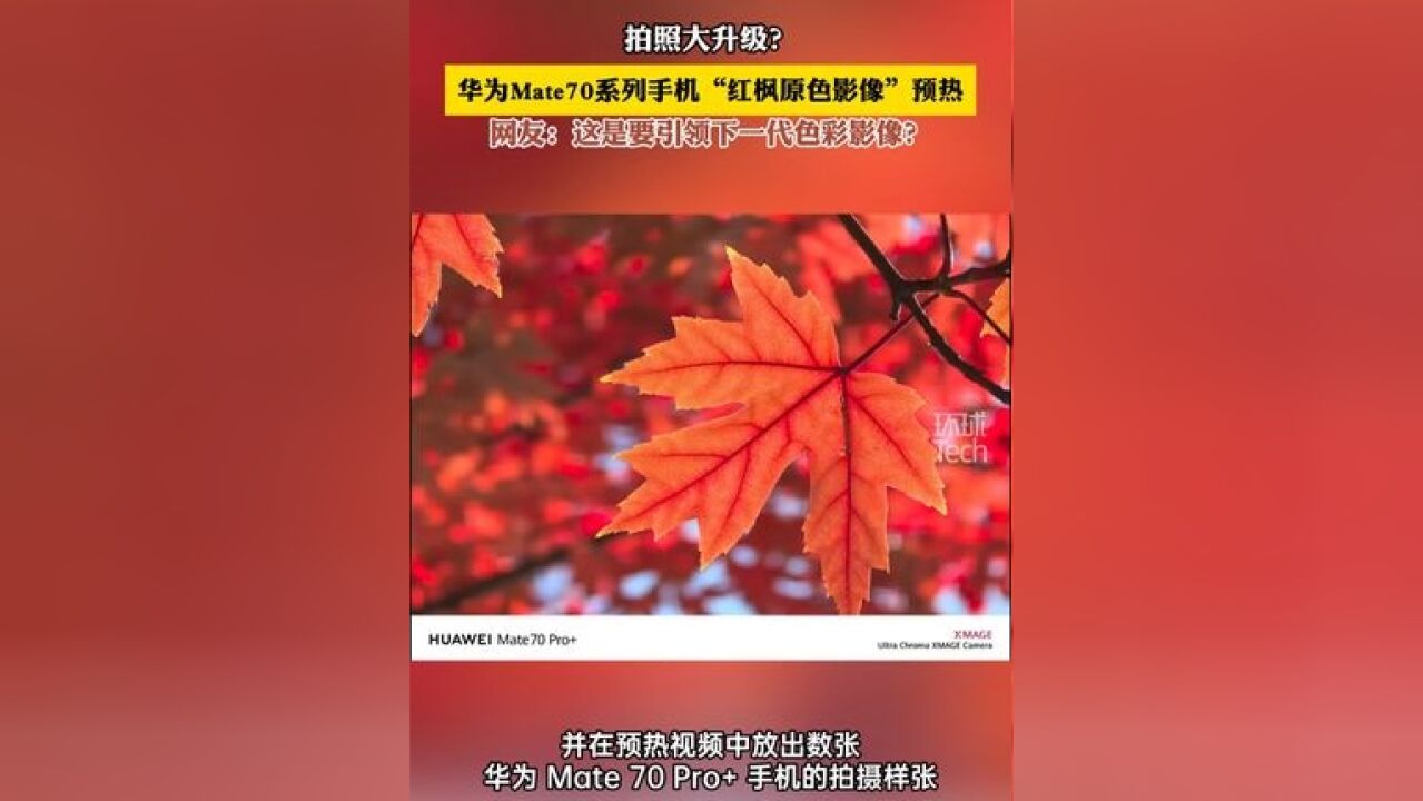 拍照大升级?华为系列手机“红枫原色影像 ”预热 网友:这是要引领下一代色彩影像?